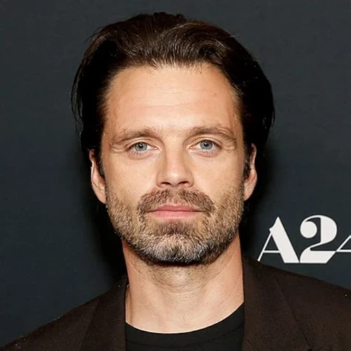 Sebastian Stan AI character
